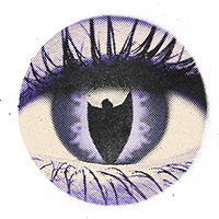 Contact Lenses
