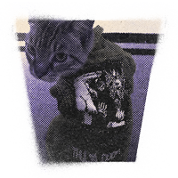 Pet Apparel & Wearables