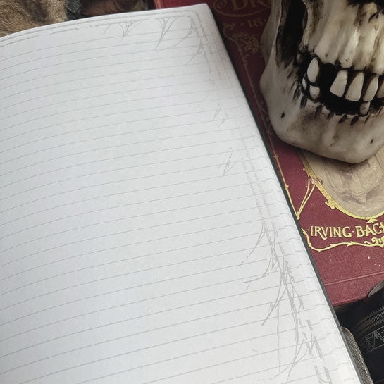 Medusa Spiral Journal