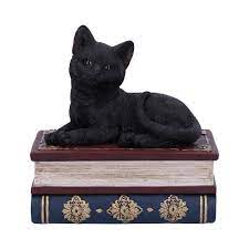 Salems Spells Box