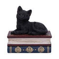 Salems Spells Box