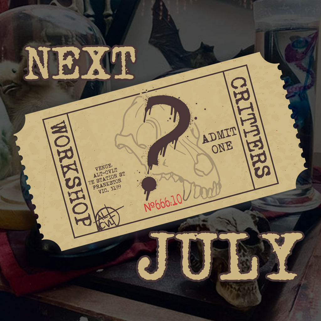 0000 template Event Ticket - Specimen Workshop