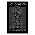 JOY DIVISION Unknown Pleasures Poster 049