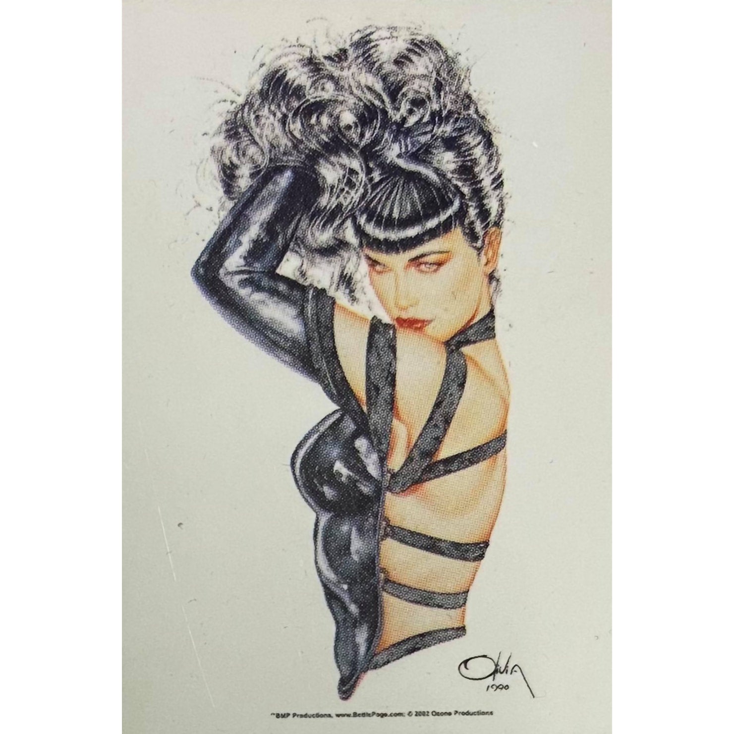 Bettie Page Wall Flag