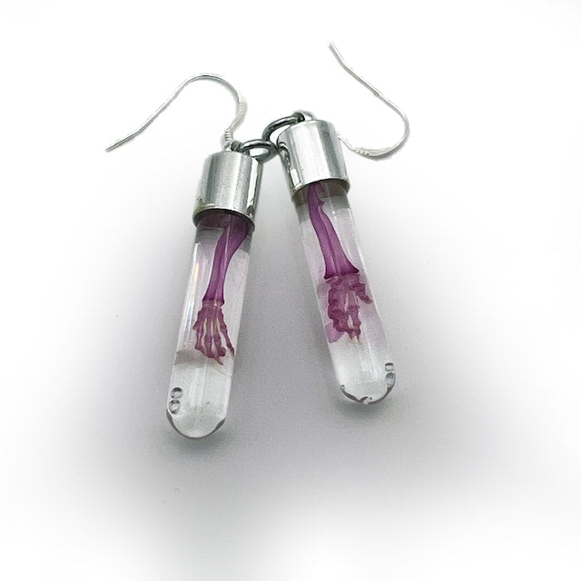 Mouse Forelimb Earrings Diaphonised Wet Specimens
