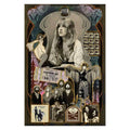 FLEETWOOD MAC Stevie Nicks Collage Poster 170