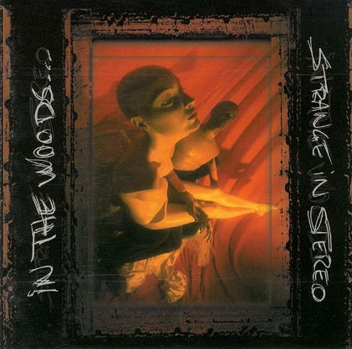 IN THE WOODS Strange In Stereo (1999) CD
