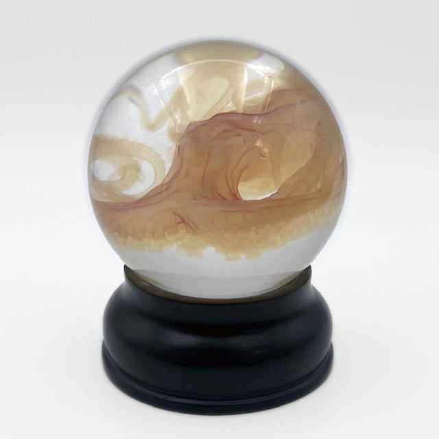 Octopus Experimental Diaphonised Wet Specimen Globe