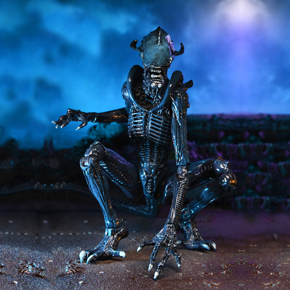 Aliens Arachnoid Alien Vs Predator 7" Action Figure
