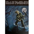 IRON MAIDEN Benjamin Breeg Wall Flag