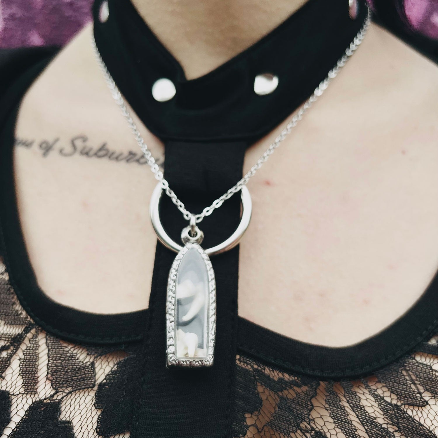 Fox Teeth Genuine Specimen Necklace