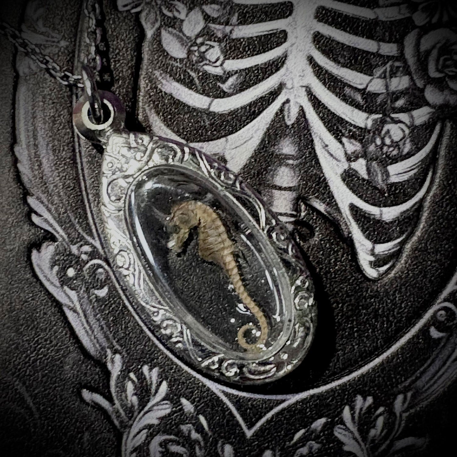 Brooding Seahorse Genuine Specimen Necklace