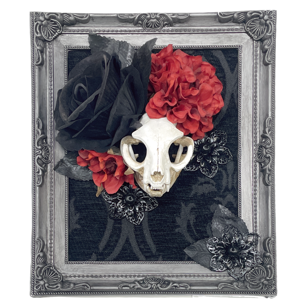 Devotions Tale Cat Skull Faux Curiosity Frame