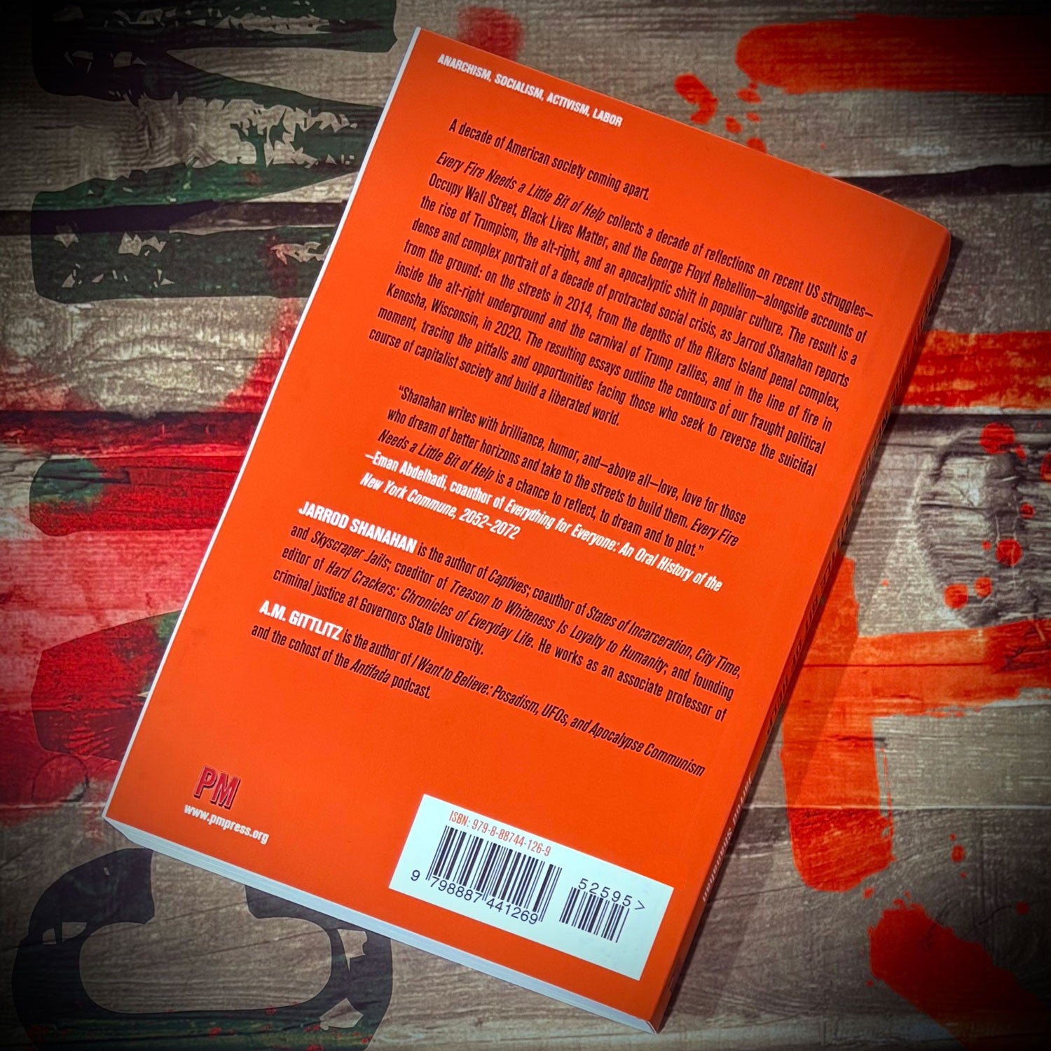 Every Fire Needs a Little Bit of Help: A Decade of Rebellion, Reaction, and Morbid Symptoms Book