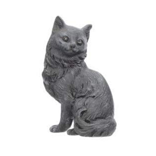 Tiny Lucky Black Cat