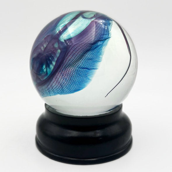 Stingray Globe Diaphonised Wet Specimen