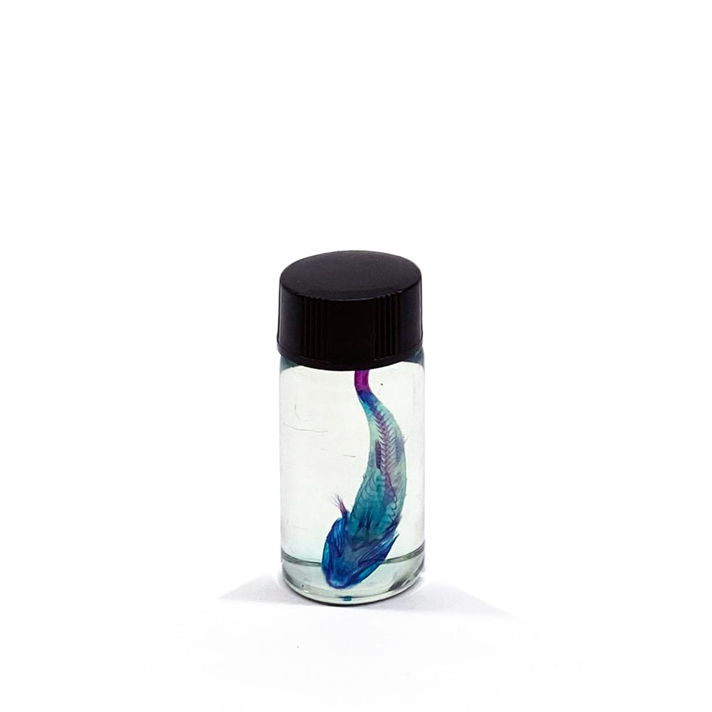 Gudgeon Diaphonised