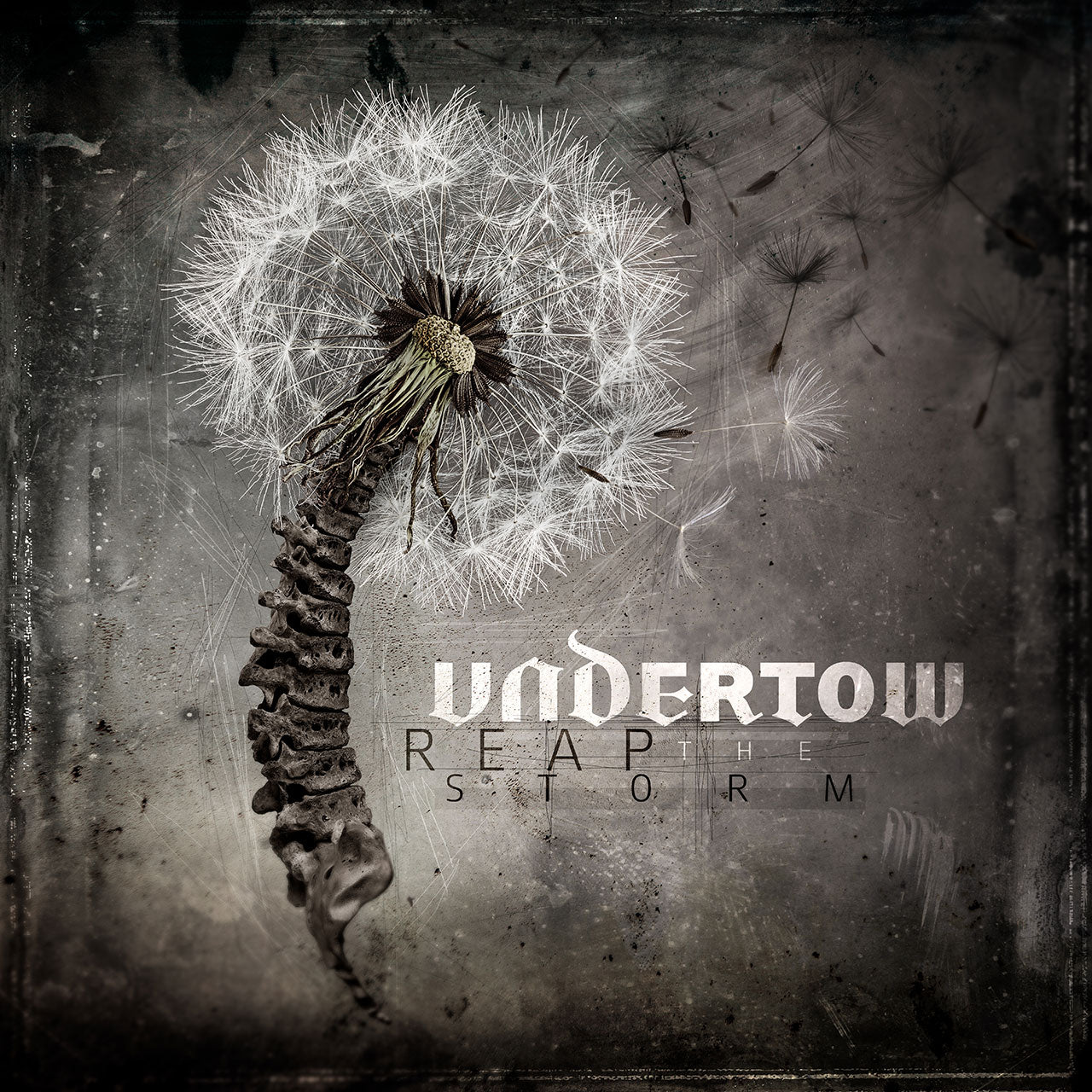 UNDERTOW Reap The Storm CD (2018)