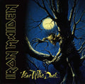 IRON MAIDEN Fear If The Dark CD (1992)