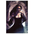 Vampiric Siren Poster 248