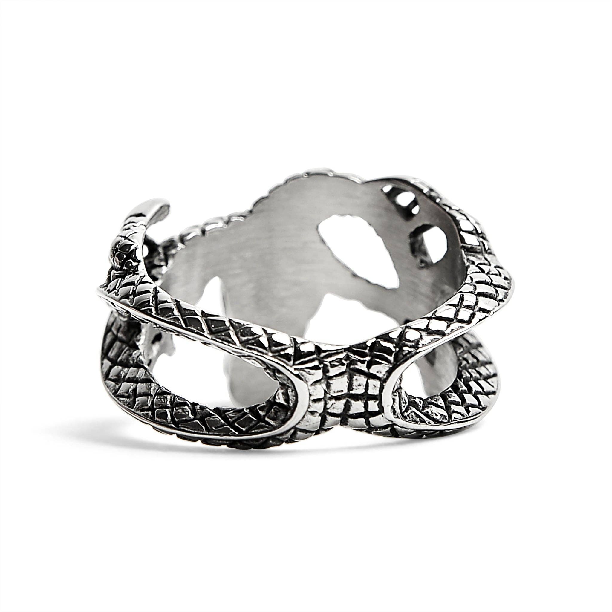 Dragon Defender Ring