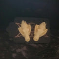 Resin Wolf Skull Earrings