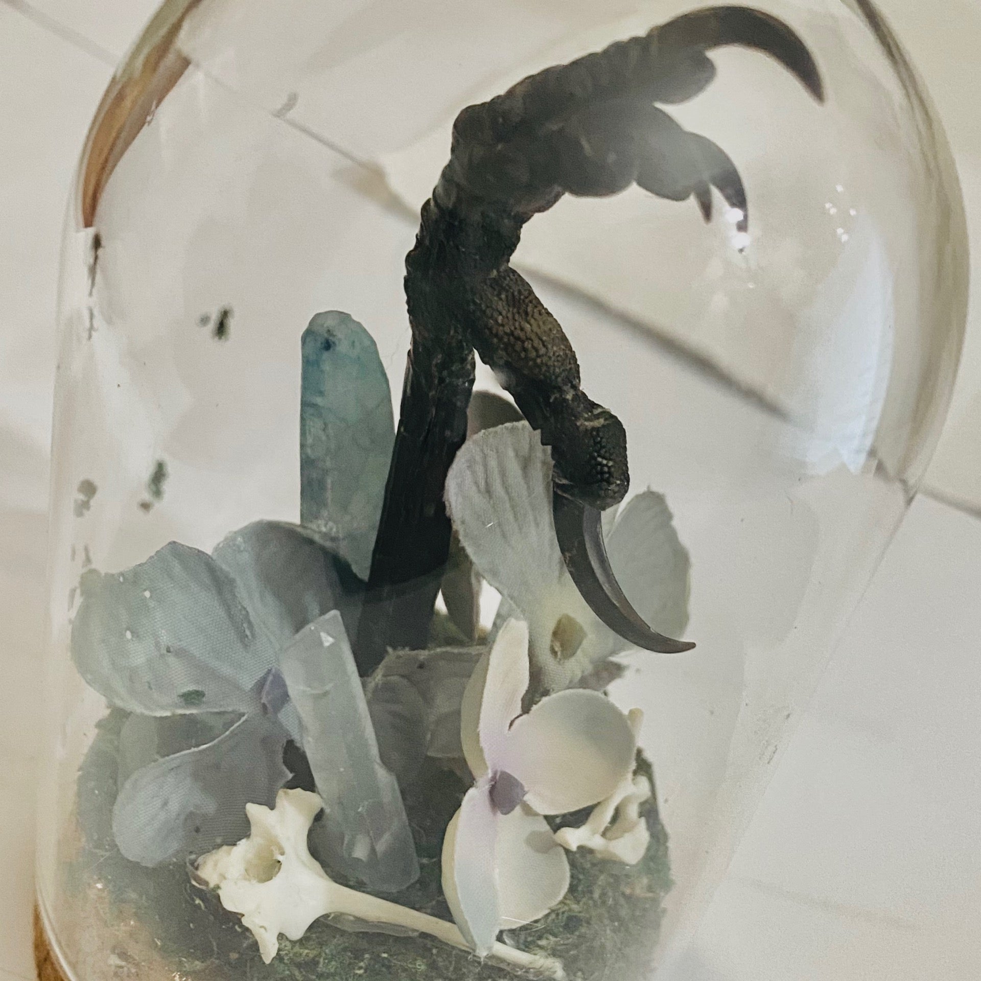 Nevermore dome