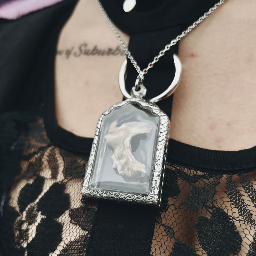 Cat Jawbone Genuine Specimen Necklace