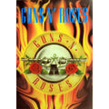 GUNS N ROSES Flaming Logo Wall Flag