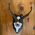 Roe Deer Moon Maiden Wall Shield