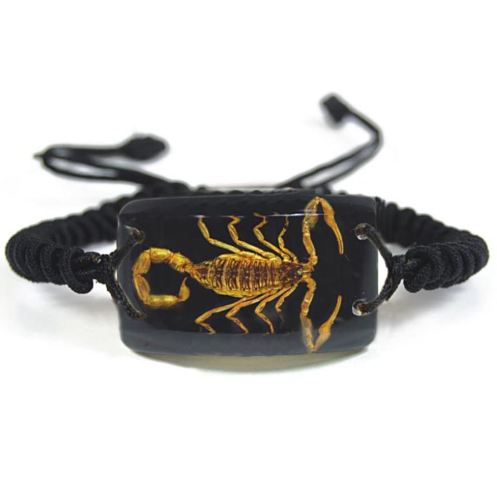 Specimen Bracelet