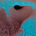 PINK FLOYD Meddle CD (1971)
