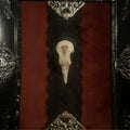 Pidgeon gothic wall art