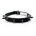 Cursed Collar
