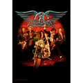 AEROSMITH Wall Flag