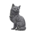 Tiny Lucky Black Cat