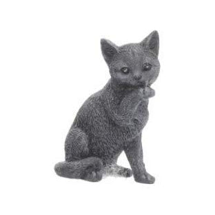 Tiny Lucky Black Cat