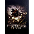 DISTURBED Wall Flag