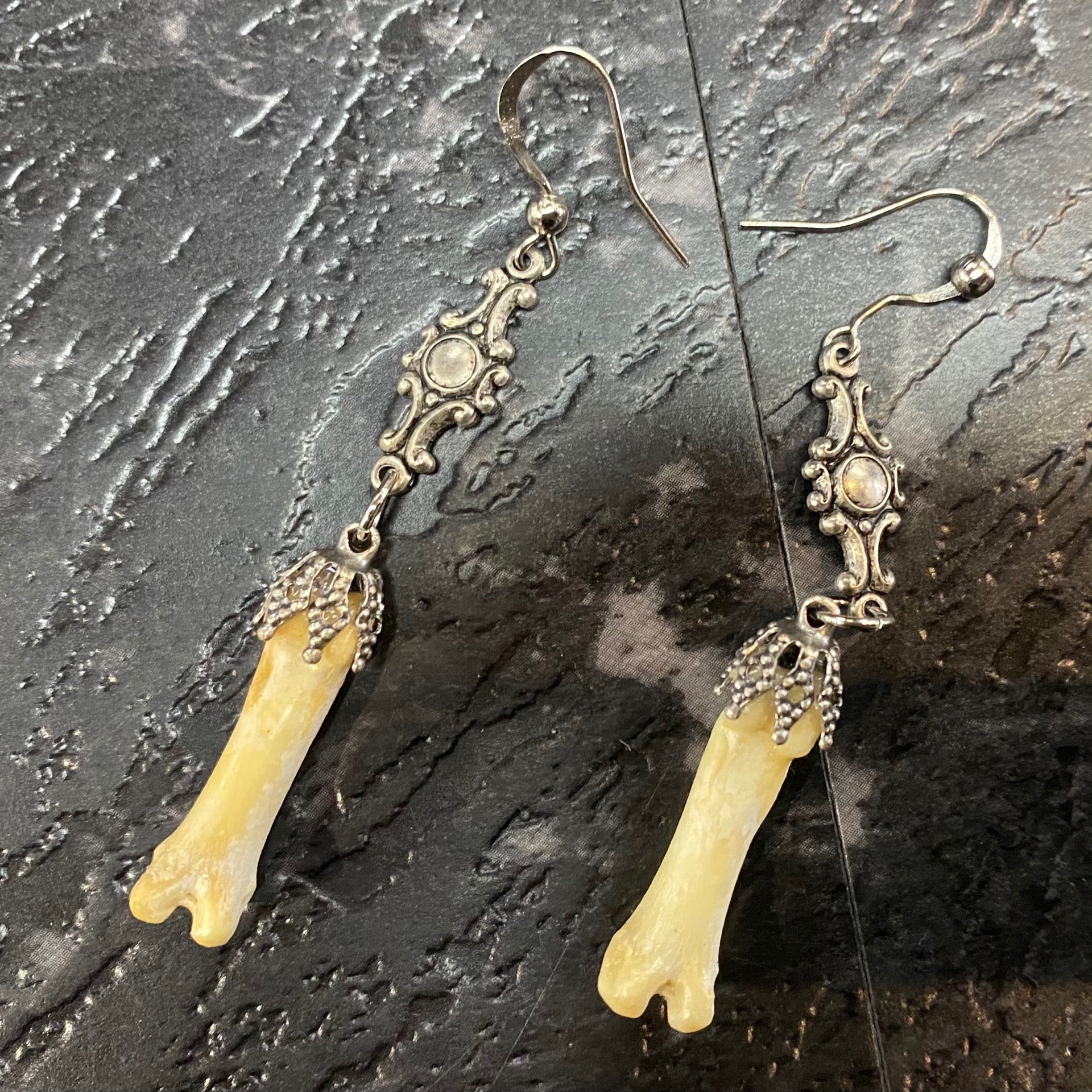 Bone Specimen Earrings - Assorted Styles