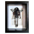 McBeardie Fae Faux Specimen #92