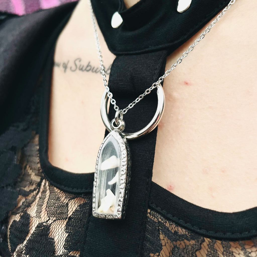 Fox Teeth Genuine Specimen Necklace