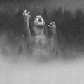 TAAKE Taake CD (2008)