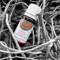 Aroma Fragrant Oil Frankincense 10ml