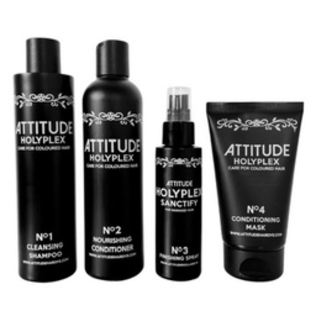 Holyplex Attitude Hair Dye Care After Treatment Collection
