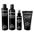 Holyplex Attitude Hair Dye Care After Treatment Collection