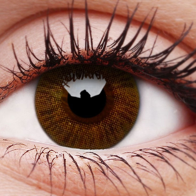 Honey Basics Contact Lenses