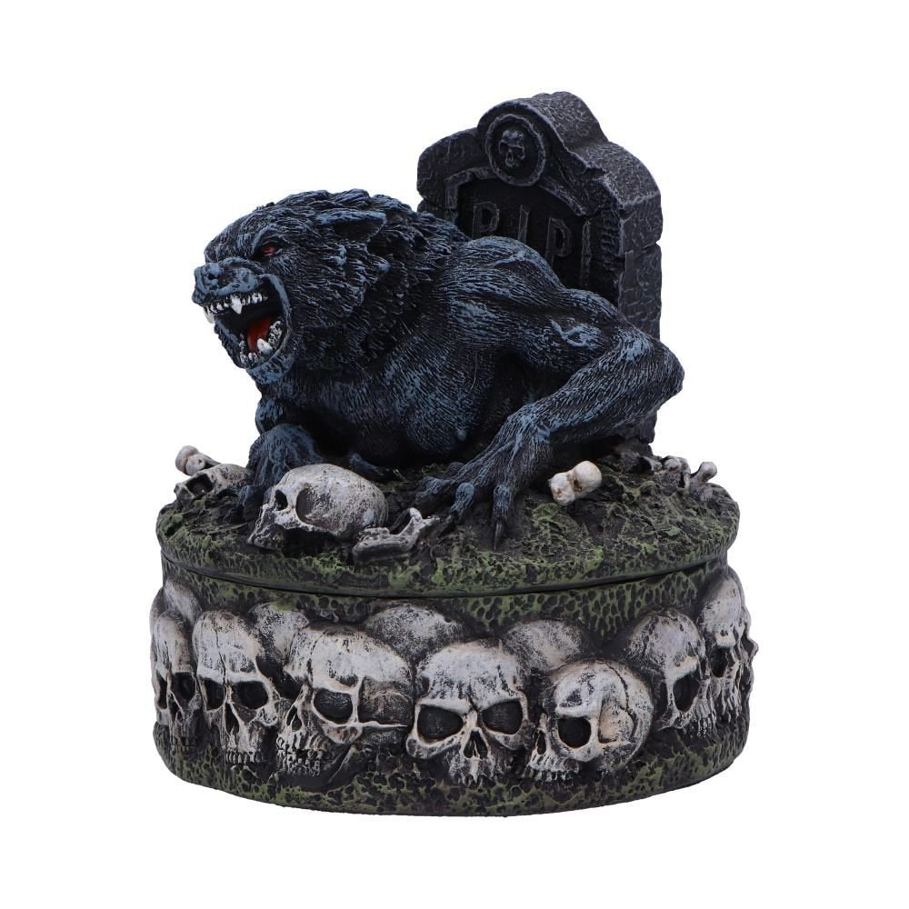 Treasures of the Lycan Trinket Box