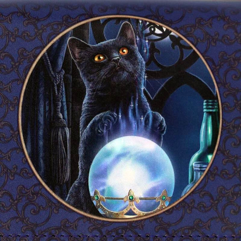 Witches Apprentice Cat Scrying Wallet