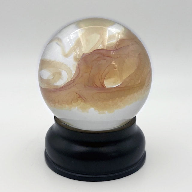 Octopus Experimental Diaphonised Wet Specimen Globe