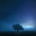 HAARP Husks (2012) Digipak CD